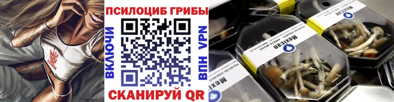 хочу наркоту  Бор  Галлюциногенные грибы MAGIC MUSHROOMS 
