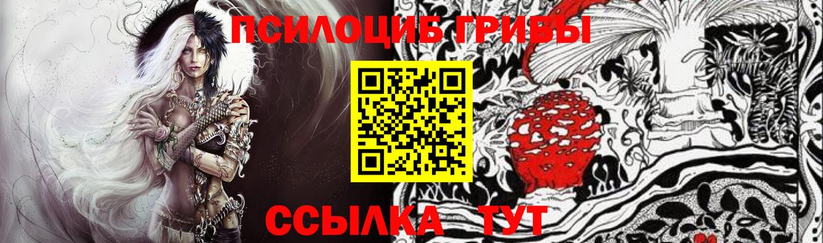 Галлюциногенные грибы Cubensis  Вход с VPN  Бор 